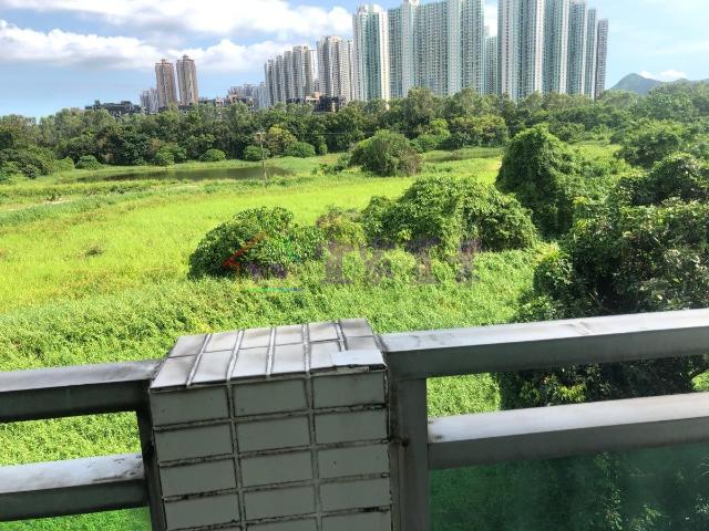 提供 出租 的 別墅