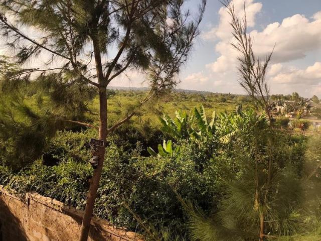 House for rent in Runda, Westlands