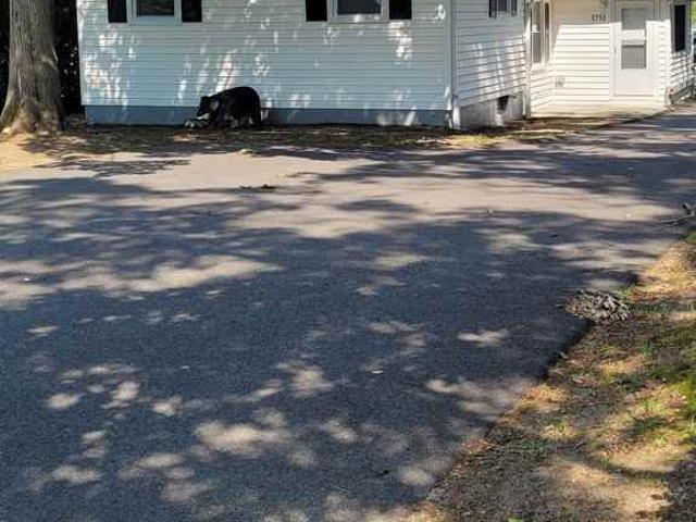 House for rent in New Jersey