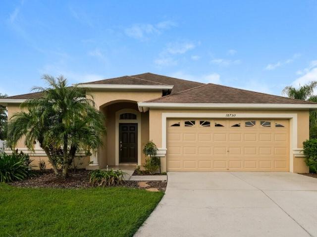 House for rent in Land O Lakes, Florida