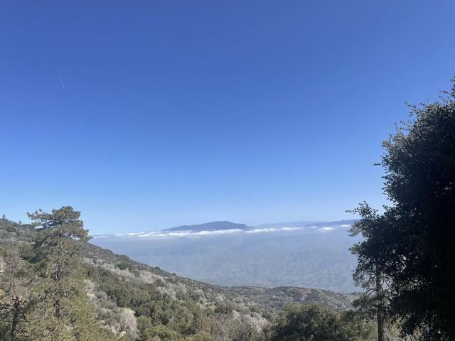 House for rent in Tehachapi
