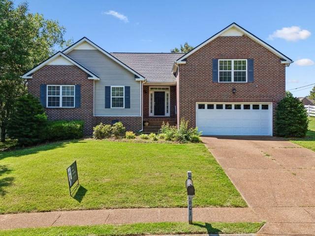 House for rent in Tennessee