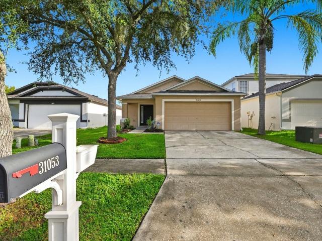 House for rent in Wesley Chapel, Pasco County