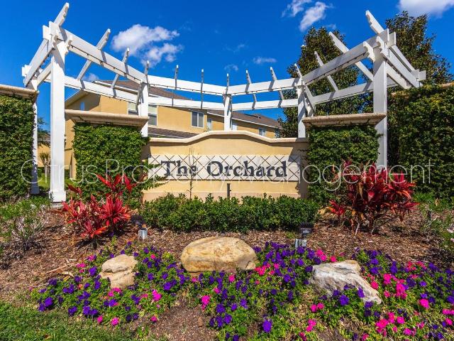 House for rent in Winter Garden, Florida