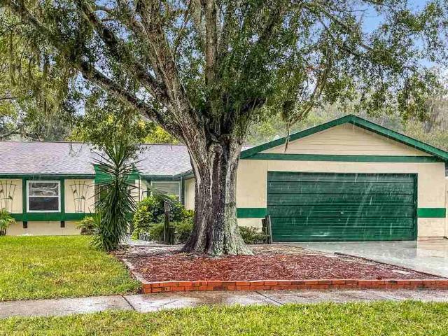 House for rent in Oldsmar, Florida