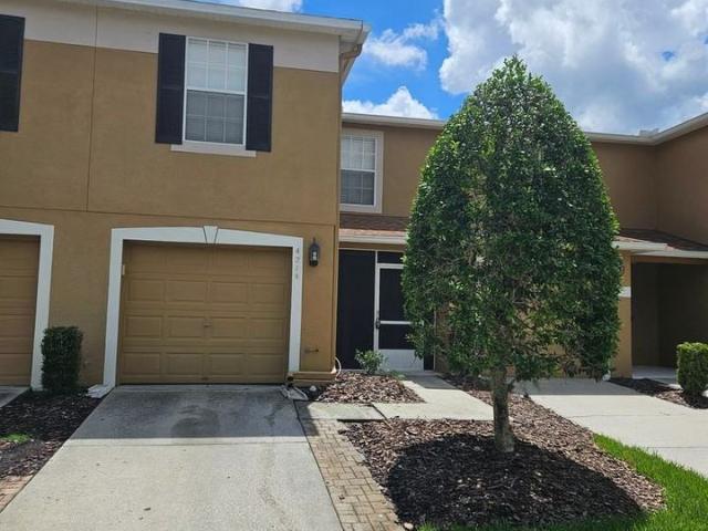 House for rent in Saint Petersburg, Florida