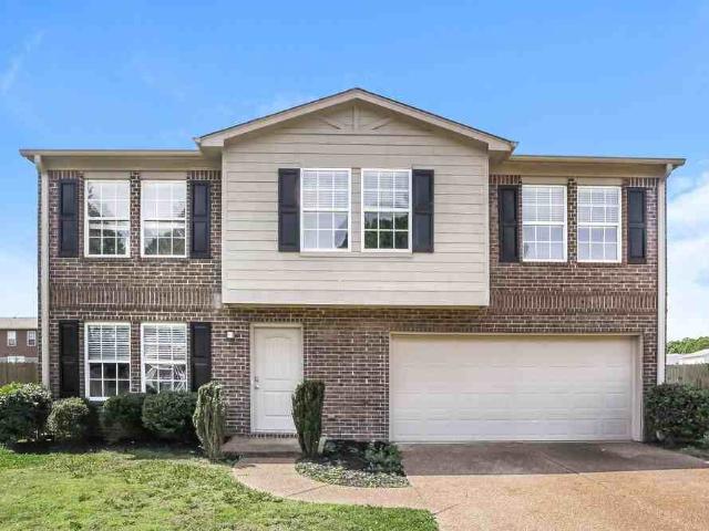 House for rent in Memphis, West Tennessee