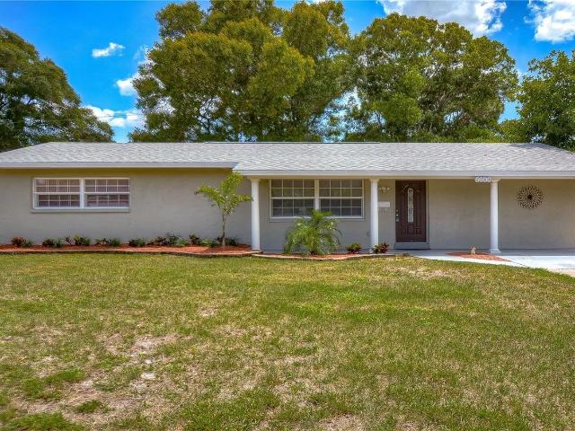 House for rent in Saint Petersburg, Florida