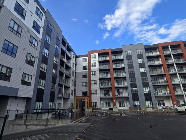 House for rent in Calgary, Northwest