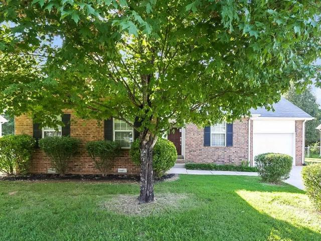 House for rent in Smyrna