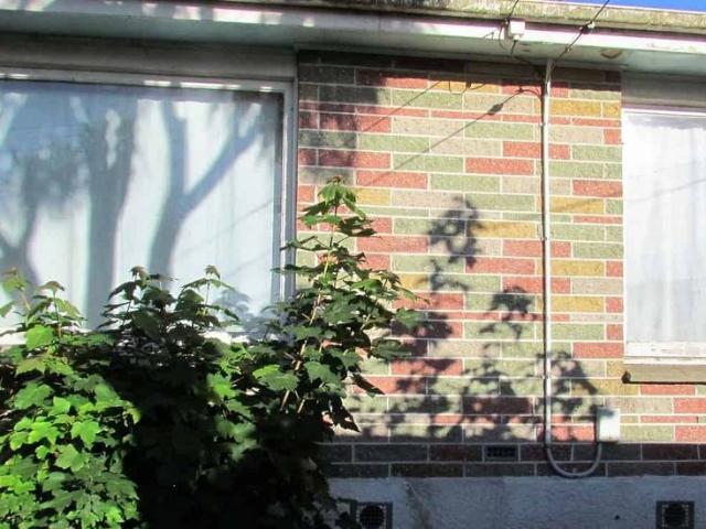 House for rent in Gardens, Dunedin