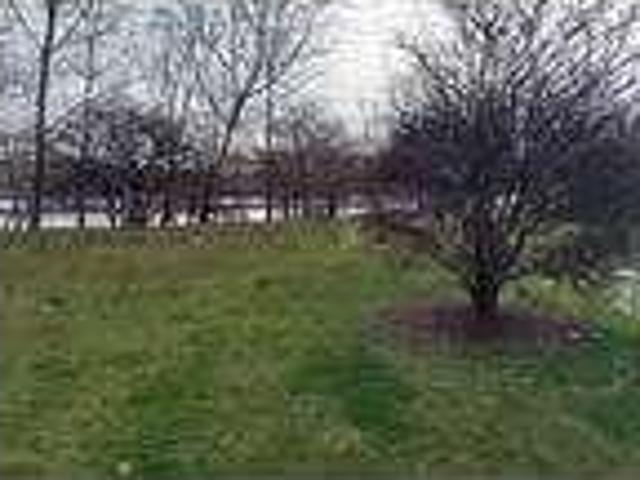 House for rent in Algonquin