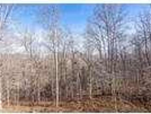 House for rent in Ashland City, Middle Tennessee