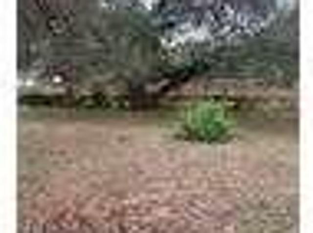 House for rent in Medina, Texas