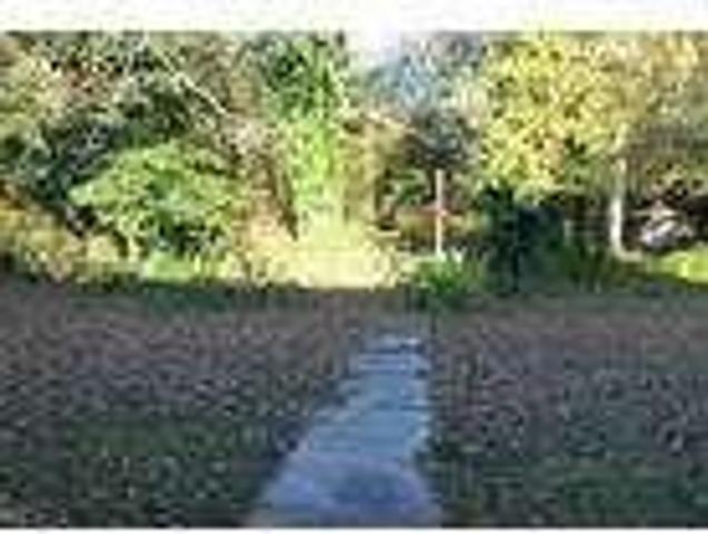 House for rent in Toccoa, Georgia