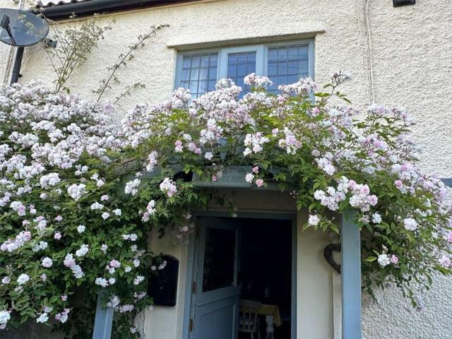 House for sale in Pawlett