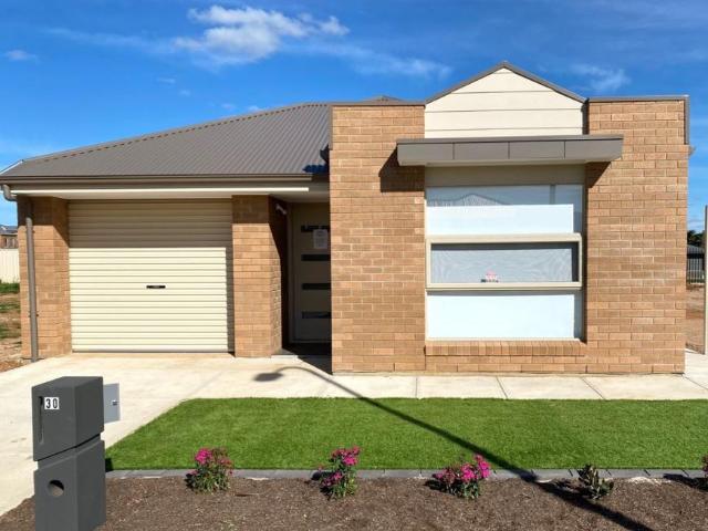 House for rent