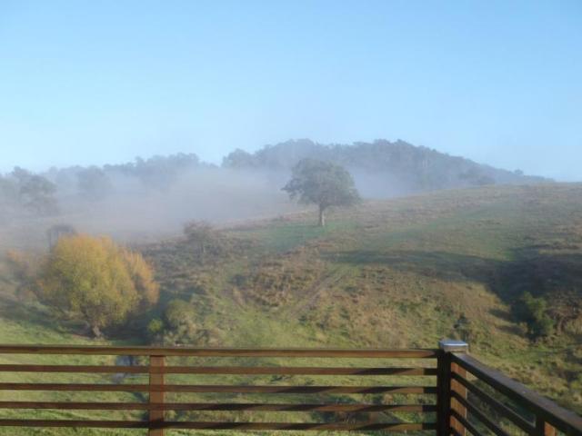 House for sale in Brogo, New South Wales