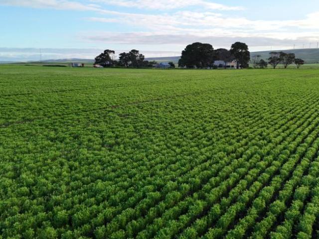 House for sale in Burnsfield, Wakefield Regional Council