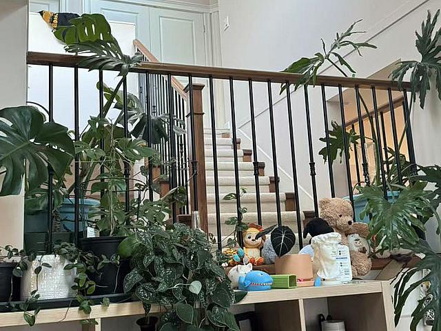 House for rent in New Westminster, British Columbia