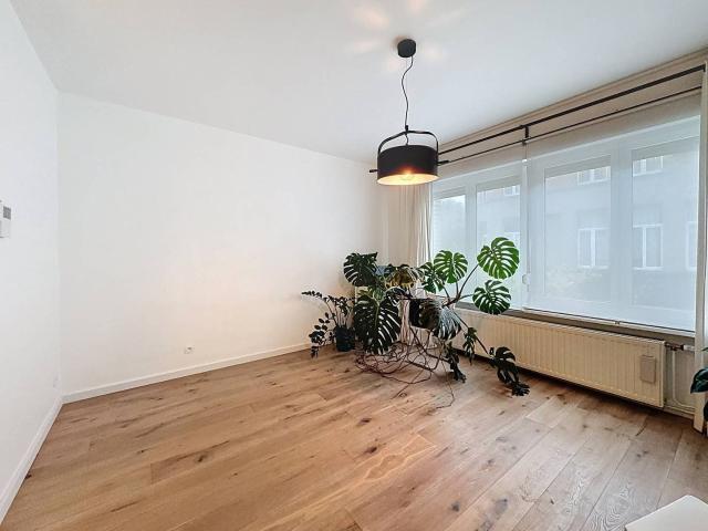 Appartement location à Seefhoek-Stuivenberg, Antwerpen
