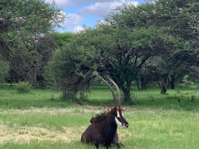 House for sale in Belabela, Limpopo