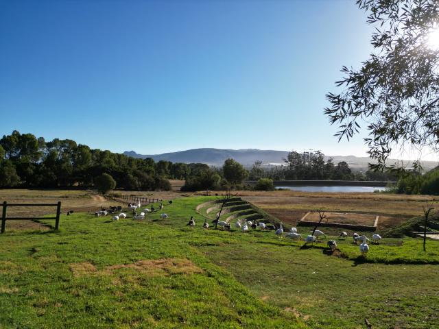 Property for sale in Alexandra, Gauteng