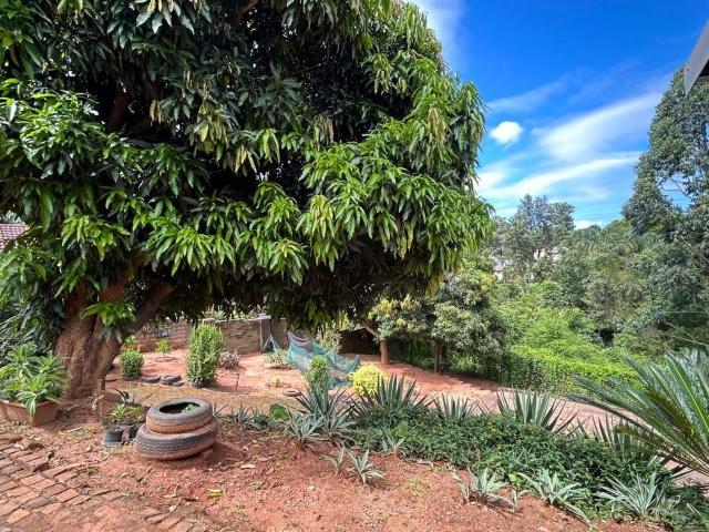 House for sale in Mopani, Limpopo