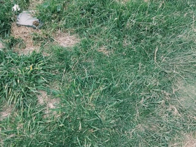 House for sale in Gert Sibande, Mpumalanga