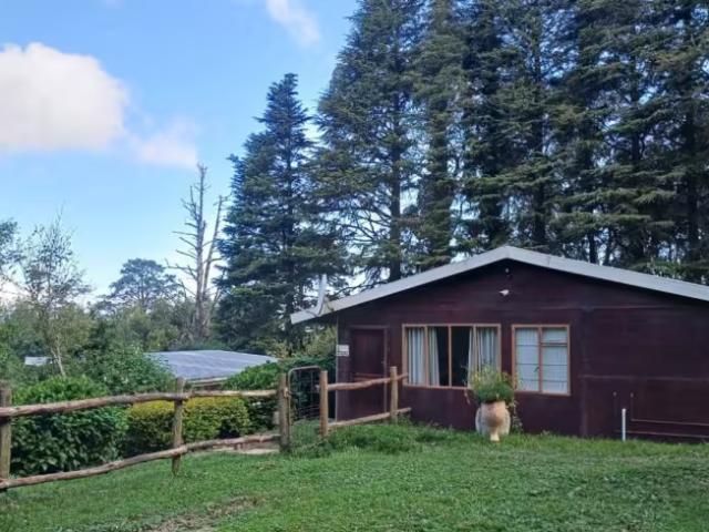House for sale in Hogsback, Nkonkobe Local Municipality