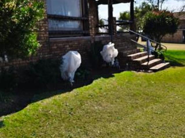 House for rent in Witbank, Mpumalanga