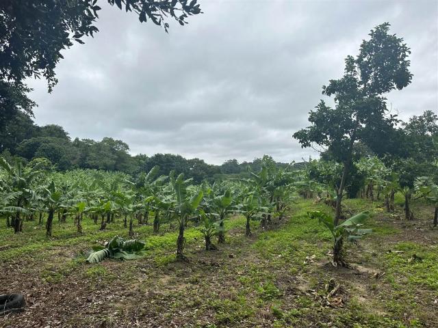 House for sale in Ugu District Municipality, Kwazulu-natal