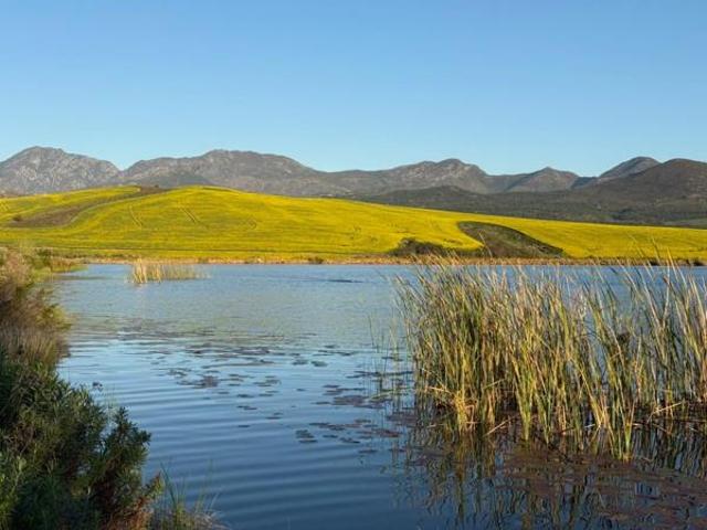 House for sale in Western Cape