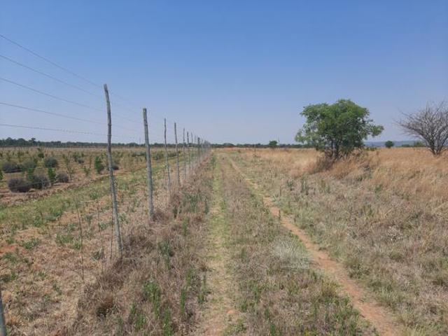 House for sale in Waterkloof, Gauteng