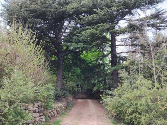 House for sale in Alice, Nkonkobe Local Municipality