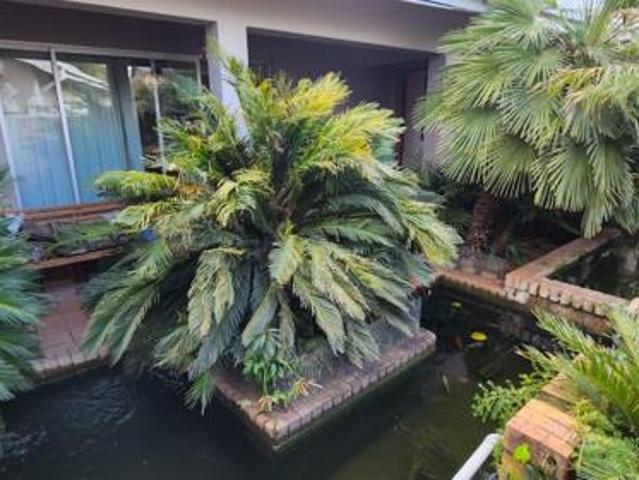 House for sale in Kgalagadi, Northern Cape