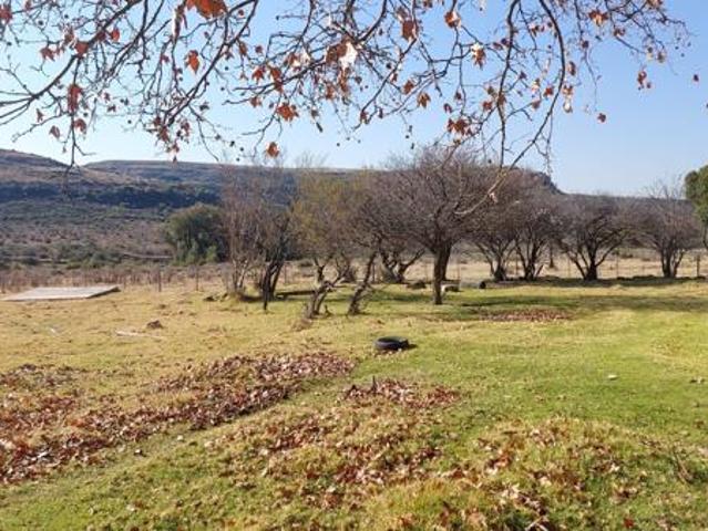 House for rent in Mantsopa, Free State