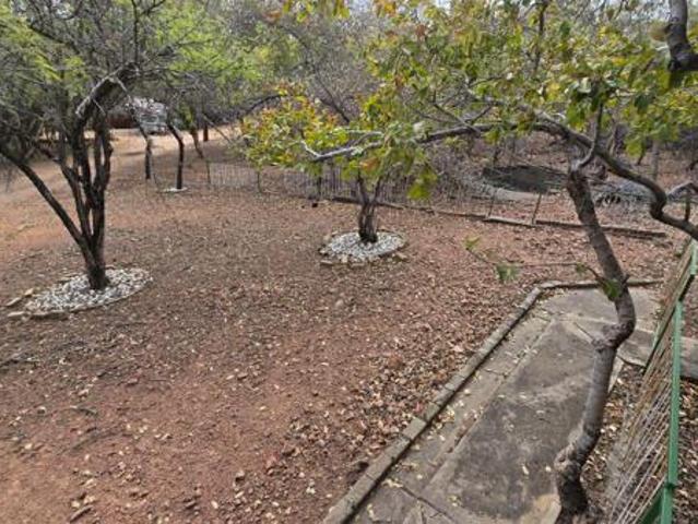 House for sale in Limpopo