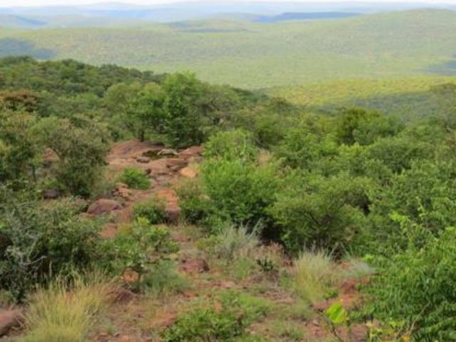 House for rent in Limpopo