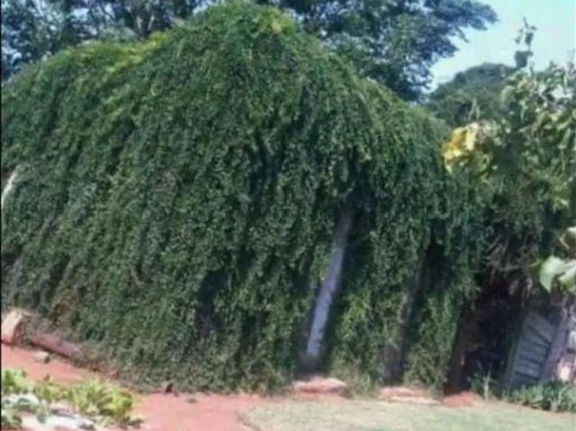 House for sale in Dr Kenneth Kaunda, North West