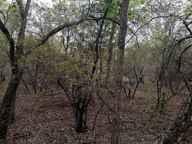 House for sale in Ehlanzeni, Mpumalanga
