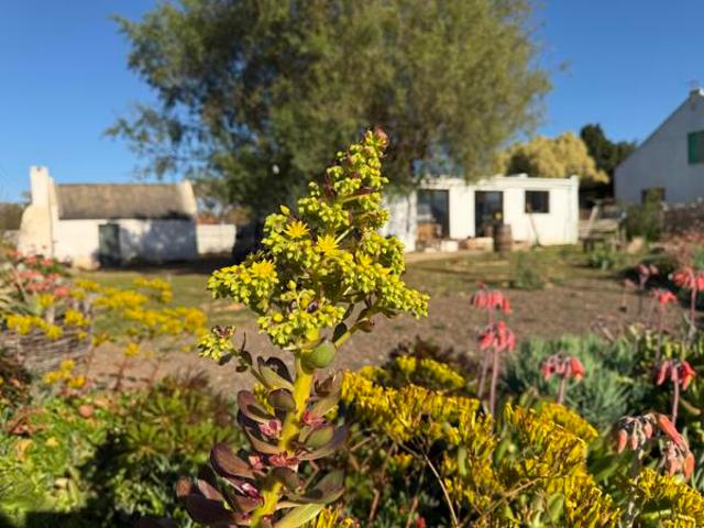 House for sale in Durbanville, Western Cape