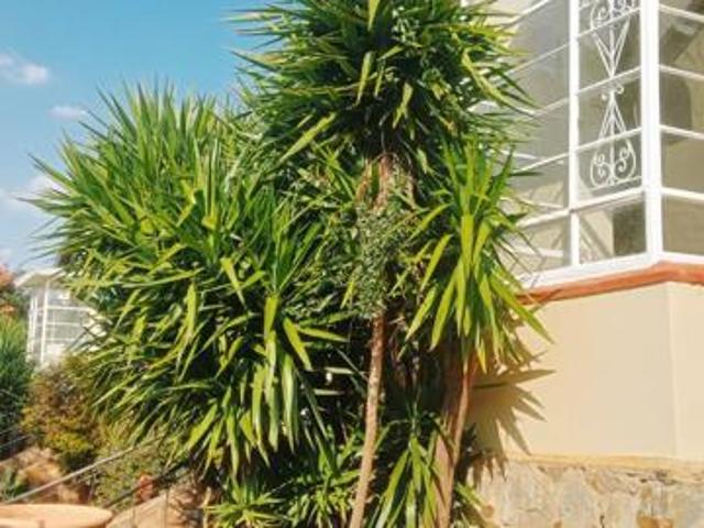 House for rent in Vosloorus, Gauteng