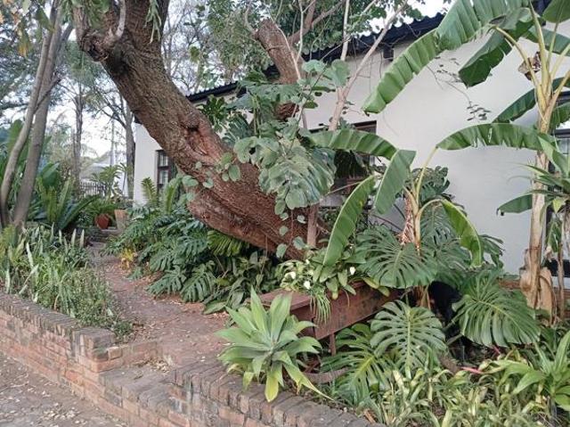 House for rent in Waterkloof, Gauteng