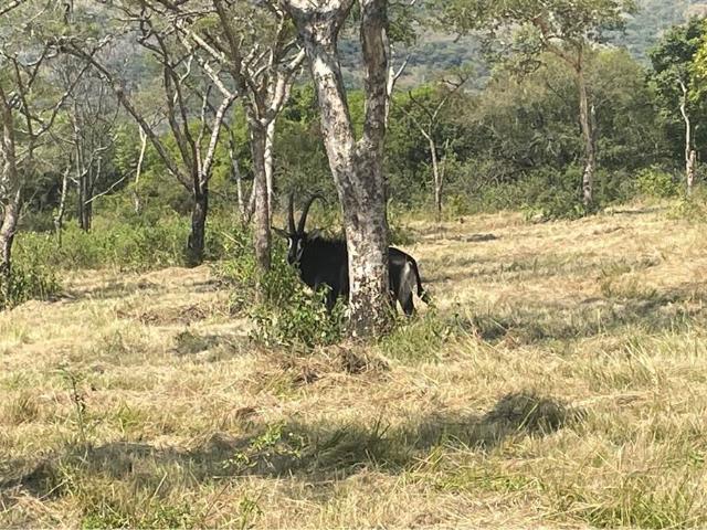 House for sale in Ehlanzeni, Mpumalanga