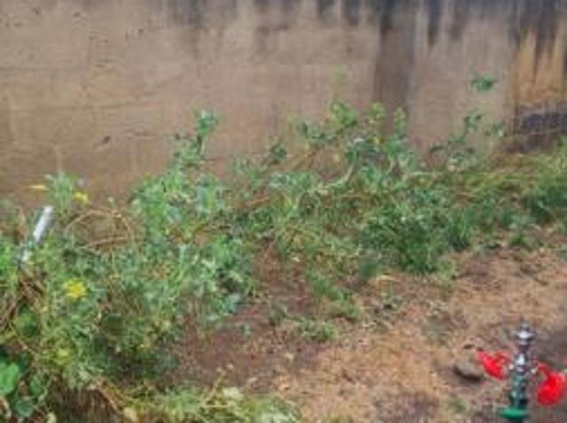 House for rent in Centurion, Gauteng