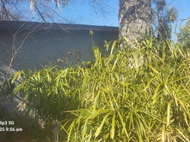 House for sale in Koppies, Free State