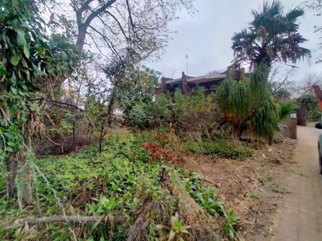 House for sale in Phalaborwa, Ba-Phalaborwa Local Municipality