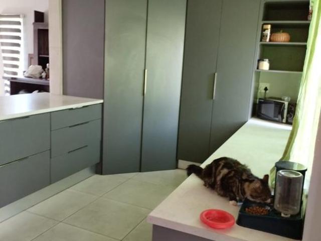 House for rent in Sasolburg, Metsimaholo Local Municipality