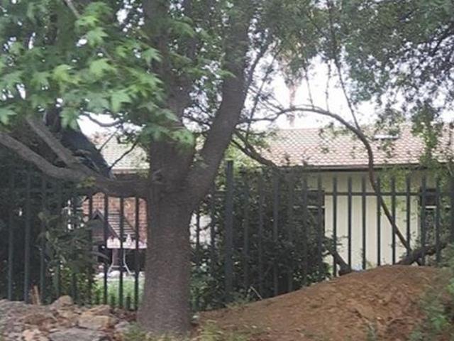 House for sale in Secunda, Govan Mbeki